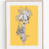 Print Ecosistema de la palmera