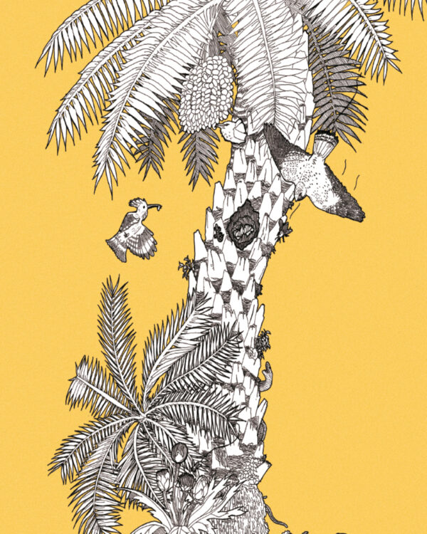Print Ecosistema de la palmera