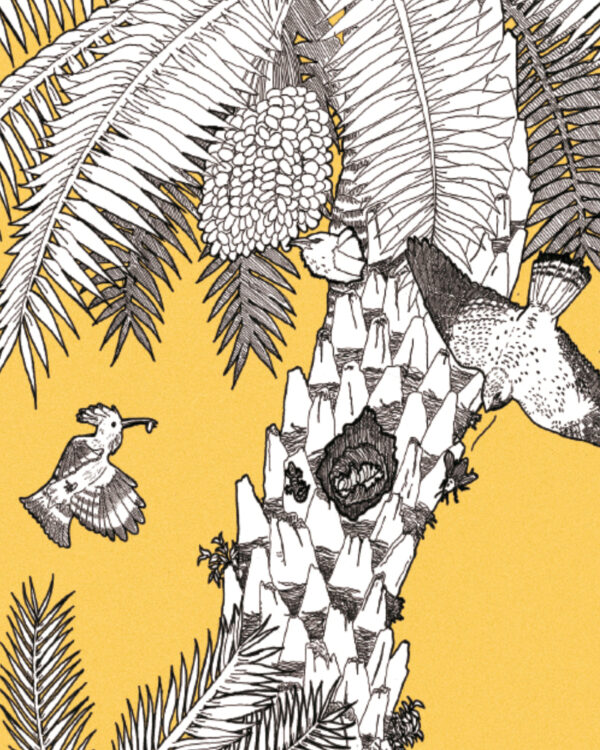 Print Ecosistema de la palmera